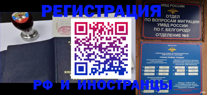 временная регистрация поиск в Купино